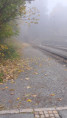 /album/fotogalerie-fichtelbergbahn1/20261020-110048-jpg1/